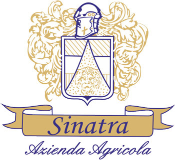Logo img